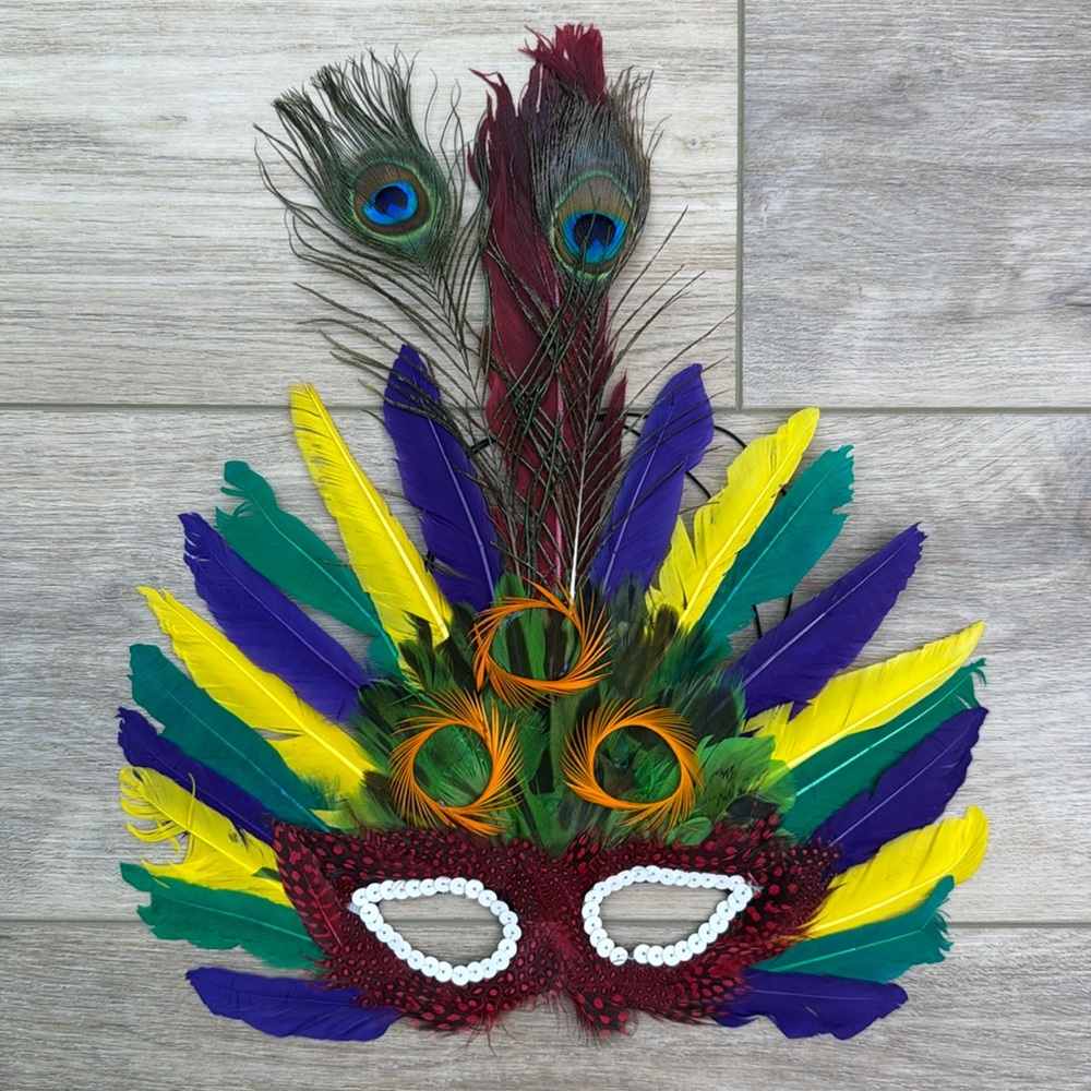 Large Feather Mardi‎ Gras Mask